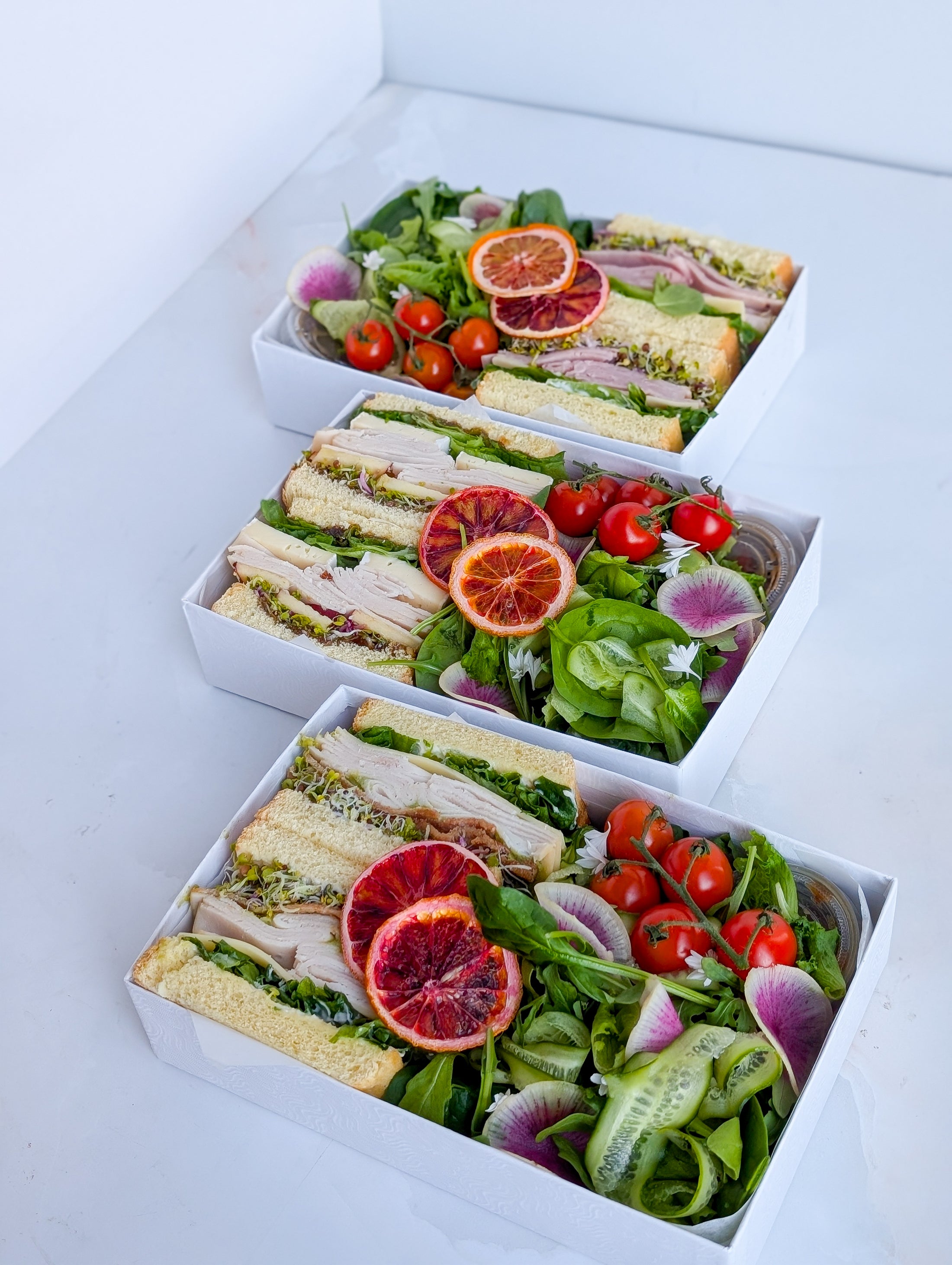 Artisan Sandwich & Wrap Lunch Boxes